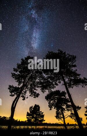 Ciel étoilé avec une voie laiteuse au-dessus de la lune, arbres en premier plan, 07.09.2016, Allemagne, Basse-Saxe, Voerden Banque D'Images