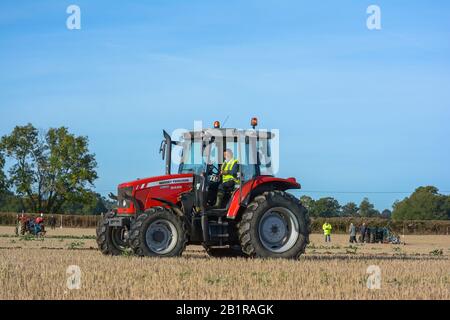 Tracteur moderne rouge 5445 charrue Massey Ferguson pour champ de sillon Angleterre Agriculture Massey Ferguson 35 1955 Match Competition Pays Banque D'Images