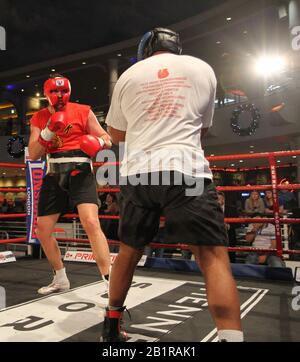 Manchester, Champion Du Monde De Boxe Britannique Tyson Fury, S'Entraîne Au Crédit De Trafford Centre Ian Fairbrother/Alay Stock Photos Banque D'Images