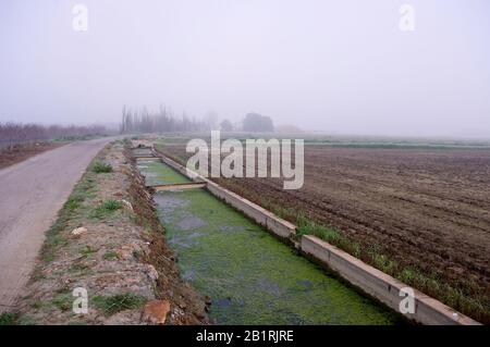 Canal d'eau et route à l'infini de brouillard. Banque D'Images