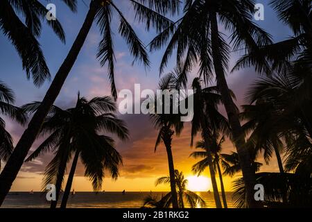 (Mise au point sélective) vue Imprenable sur un coucher de soleil romantique avec la silhouette de quelques cococotiers palmiers en premier plan. Banque D'Images