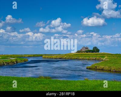 Kirchwarft Auf Hallig Hooge, Frise Du Nord, Schleswig-Holstein, Allemagne, Banque D'Images