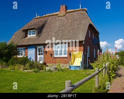 Chalet En Chaume Sur Hallig Hooge, Frise Du Nord, Schleswig-Holstein, Allemagne, Banque D'Images