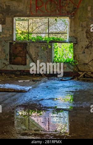 Ancien bâtiment abandonné avec. Graffiti art, réflexions sur le sol, désolate, négligé, bâtiments de désintégration. Banque D'Images