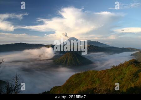 Cratère actif de Bromo sur la gauche, volcan Batok devant et volcan Semeru derrière, Parc national Bromo Tengger Semeru, île Java, Indonésie Banque D'Images