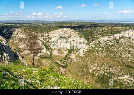 Blick in die Schlucht im Naturachutzgebiet Cavagrande del Cassibile, Sizilien, Italien, Europa | Canyon de la réserve naturelle Cavagrande del Cassibi Banque D'Images