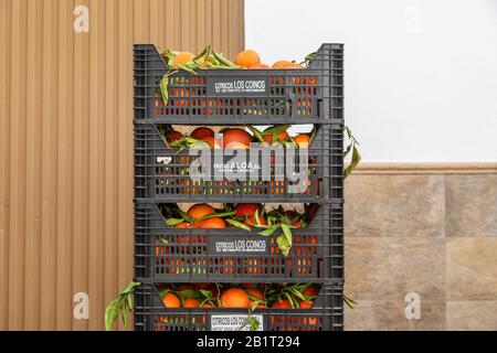 Une pile d'oranges dans des caisses de fruits, Vélez-Málaga, Espagne Banque D'Images