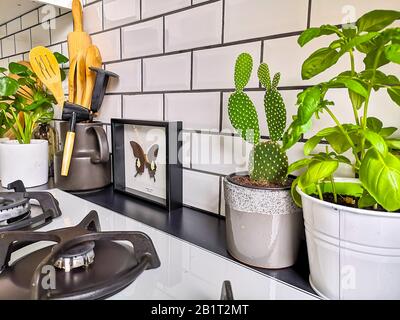 Cuisine carrelée de métro noir et blanc avec de nombreuses plantes et art encadré de taxidermy insecte Banque D'Images