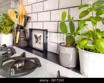 Cuisine carrelée de métro noir et blanc avec de nombreuses plantes et art encadré de taxidermy insecte Banque D'Images