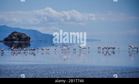 Sur et autour du lac Natron à la frontière tanzanienne Banque D'Images