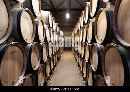 France Bourgogne 2019-06-20 fûts de chêne de bois empilés dans la vieille cave de vinification. Concept brasserie fond, dégustation professionnelle, amateur de vin, somm Banque D'Images