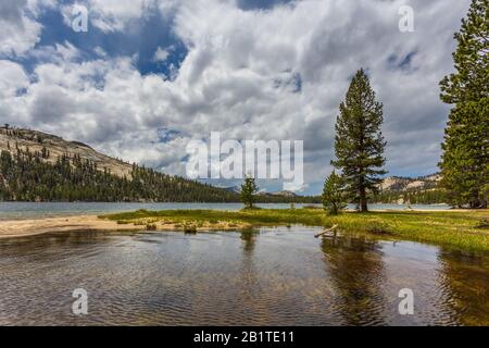 Lac Tenaya dans la montagne de la Sierra Nevada, mont Dane en arrière-plan. Parc National De Yosemite, Californie, États-Unis. Banque D'Images