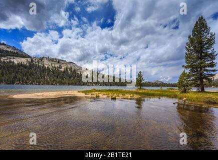 Lac Tenaya dans la montagne de la Sierra Nevada, mont Dane en arrière-plan. Parc National De Yosemite, Californie, États-Unis. Banque D'Images