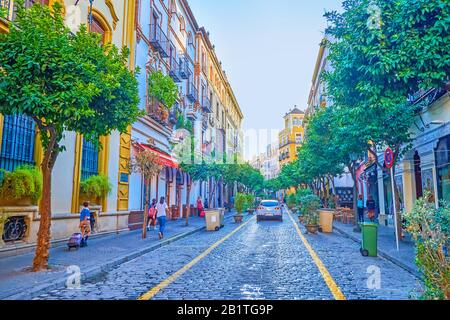 Séville, ESPAGNE - 1er OCTOBRE 2019 : la vieille rue Calle Mateos Gago avec ses trottoirs ombragés dans le quartier historique de Santa Cruz, le 1er octobre à Séville Banque D'Images