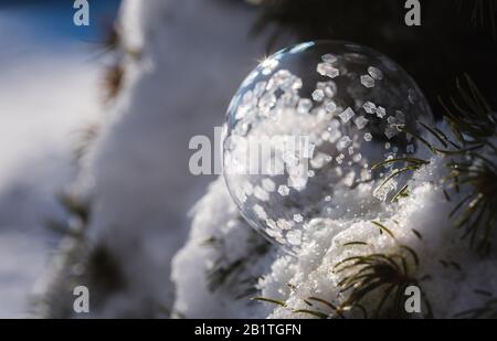 La bulle de savon gèle dans un arbre recouvert de neige pendant un hiver. Banque D'Images