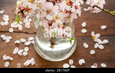 Fleurs et feuilles vertes fraîches, vue rapprochée, brindilles d'amande. Décoration naturelle de saison printanière, bouquet dans un vase, dos de table en bois Banque D'Images