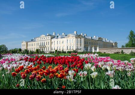 Photo du palais Rundale et ses jardins, construit au XVIIIe siècle avec tulipes. Palais baroque en Lettonie Banque D'Images