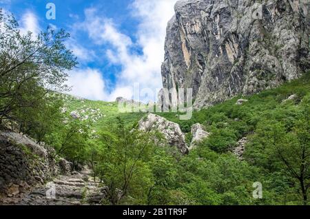 Belle vue sur les rochers, la forêt et le ciel bleu dans le parc national de Paklenica, les montagnes de Velebit, Croatie. Route de montagne dans la forêt. Montagne pittoresque Banque D'Images