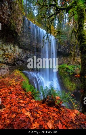 Lower South Falls à 93 pieds est situé dans le parc national de Siver Falls, près de Silverton Oregon. Banque D'Images