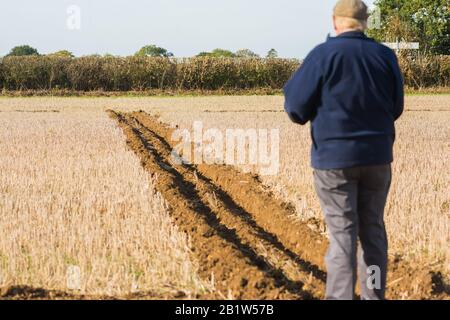 Juge Vintage classe tracteur charrue champ de sillon labour Angleterre Agriculture Massey Ferguson 35 1955 Match concurrence Pays Banque D'Images