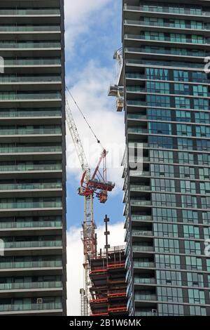 Grues de construction à Toronto, Canada Banque D'Images