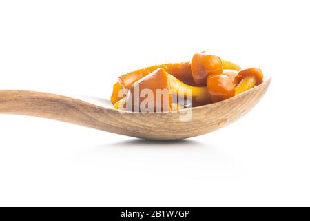 Champignons marinés. Champignons marinés dans une cuillère en bois isolée sur fond blanc. Banque D'Images