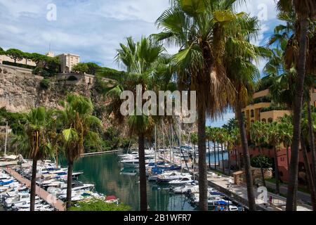 Principauté de Monaco - 02.09.2018 : vue sur le port de Fontvieille (Port de Fontvieille) et Monaco-Ville / Palais du Prince avec palmiers en premier plan Banque D'Images