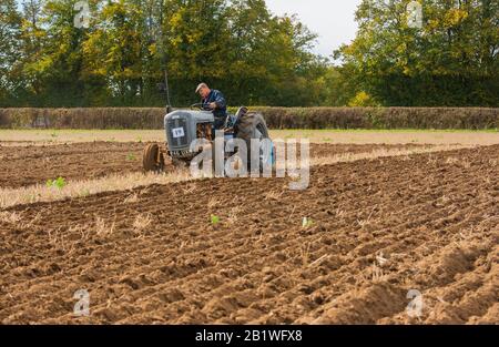 Vieux Tracteur Vintage - Gris Foncé Doré 1957 Massey Ferguson 35 En 2018. 1900 charrue labourant champ de furows Oxfordshire Berkshire Angleterre Royaume-Uni Banque D'Images