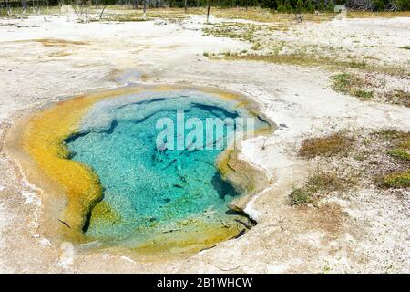 Yellowstone National Park, Wyoming, États-Unis: West Geyser À Biscuit Basin. Zone thermique faisant partie du bassin de Geyser supérieur. Banque D'Images