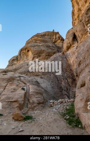 Figuier sans feuilles dans la gorge d'Al-Siq, sculpté dans les falaises rouges par l'écoulement de l'eau, le complexe de la ville antique de Petra et l'attraction touristique, Royaume hachémite de Jordanie. Jour d'hiver ensoleillé, ciel sans nuages Banque D'Images