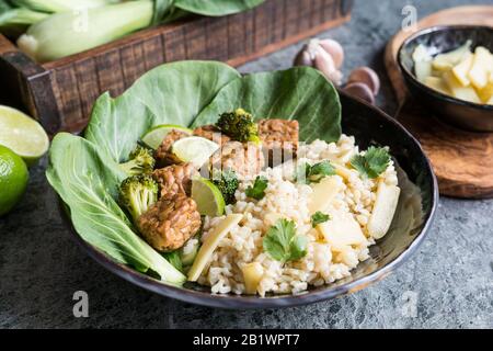 Tempeh avec riz, bok choy, brocoli cuit à la vapeur et pousses de bambou sur une plaque Banque D'Images