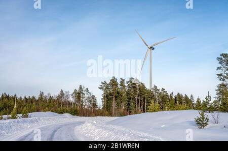 photo de moulin à vent et route sinueuse en forêt de pins d'hiver, ciel bleu, soleil d'hiver brumeux, énergie propre et écologique Banque D'Images