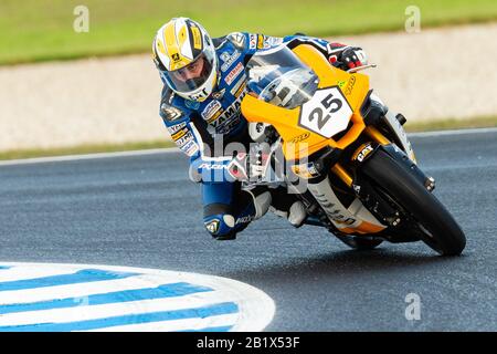 Melbourne, Australie, 28 Février 2020. William Adams CAT Rider Daniel Falzon (25 ans) lors du championnat du monde moto FIM Superbike, circuit Phillip Island, Australie. Crédit: Dave Hemaison/Alay Live News Banque D'Images