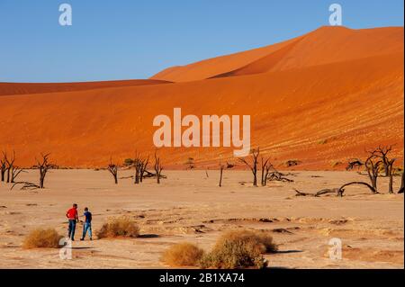 Touristes Au Parc National De Dead Vlei, Sossusvlei, Namib Naukluft, Namibie Banque D'Images