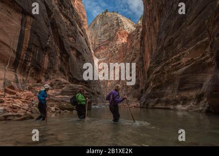 Une famille qui fait de la randonnée dans le parc national de Zion, la randonnée mène à travers les canyons à fentes et à travers un ruisseau à leur fond. Banque D'Images