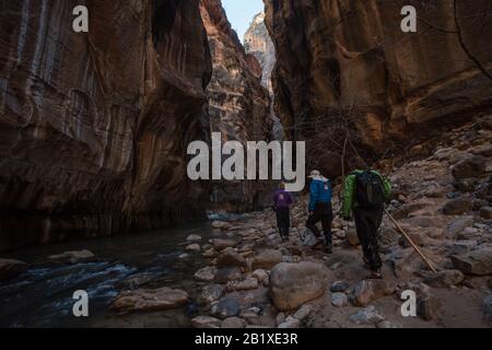 Une famille qui fait de la randonnée dans le parc national de Zion, la randonnée mène à travers les canyons à fentes et à travers un ruisseau à leur fond. Banque D'Images