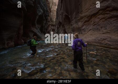 Une famille qui fait de la randonnée dans le parc national de Zion, la randonnée mène à travers les canyons à fentes et à travers un ruisseau à leur fond. Banque D'Images