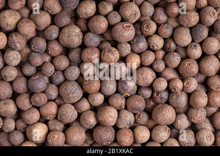 La texture des baies d'épices (Jamaïque poivre), le fond. Utilisé comme épice dans les cuisines du monde entier. La plante est également utilisée en médecine. Banque D'Images