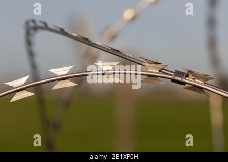 Vue rapprochée/isolée du fil barbelé/du fil de rasoir. Fond bleu (ciel) et vert (herbe). Utilisé dans les prisons, les camps militaires, etc Banque D'Images