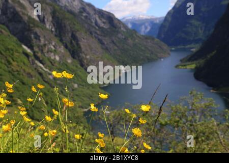 Naeroyfjord cadre idyllique du paysage du fjord, ferry, Norvège, scandinavie Banque D'Images