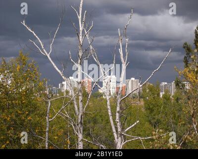 Paysage urbain d'Edmonton en Alberta Canada Banque D'Images