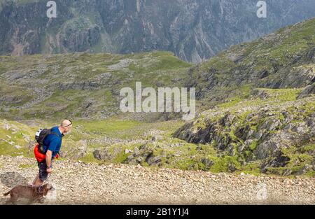 Vue depuis la fenêtre du train en regardant le randonneur avec un chien marchant sur le chemin du sommet de Snowdon au Pays de Galles Banque D'Images