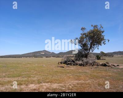 Le parc régional de You Yangs est un parc situé dans le centre sud de Victoria, en Australie Banque D'Images