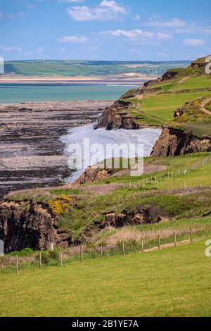 Sentier côtier du sud-ouest avec promenades vers les falaises de Abbotsham, sur la côte à côté de la plage, à North Devon, Royaume-Uni Banque D'Images