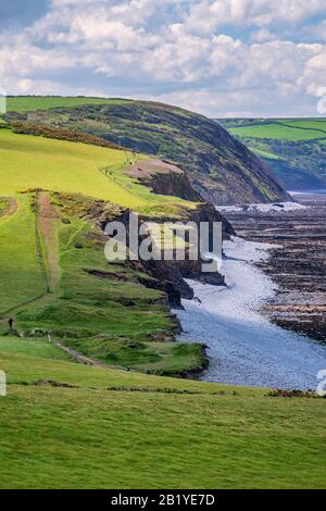 Sentier côtier du sud-ouest avec promenades vers les falaises de Abbotsham, sur la côte à côté de la plage, à North Devon, Royaume-Uni Banque D'Images