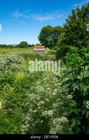 Vieille maison de pompe et de bint de pierre et de wir dans la Tarrant de rivière à l'herbe-choked à Tarrant Rawston près de Blandford à Dorset Banque D'Images