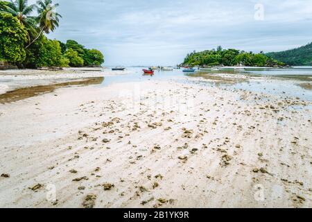 Lagon de Port Gcaud à l'heure des marées, île de Mahe, Seychelles Banque D'Images