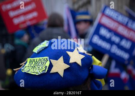 Les manifestants anti-Brexit restent à l'extérieur du Parlement à Westminster le lendemain du départ du Royaume-Uni de l'Union européenne le 30 janvier 2020 à Londres, en Angleterre, au Royaume-Uni. Avec un gouvernement conservateur majoritaire au pouvoir et un jour du Brexit imminent, le rôle de ces manifestants est maintenant de démontrer dans l'espoir d'un accord sur le Brexit le plus doux possible. Ce dernier jour de proteste avant que le Royaume-Uni ne quitte l'UE, il y avait une atmosphère de célébration et de solidarité et de félicitations pour tout le temps que les manifestants ont mis en place. Banque D'Images