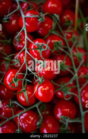 Tomates cerises rouges mûres sur la vigne en pile Banque D'Images