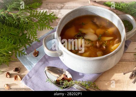 Soupe aux champignons sauvages et ingrédients, avec des cips séchés Banque D'Images